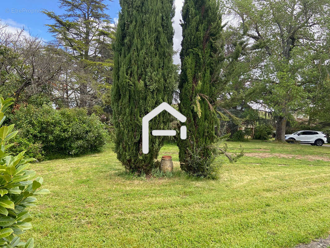 Terrain à SAINT-HILAIRE