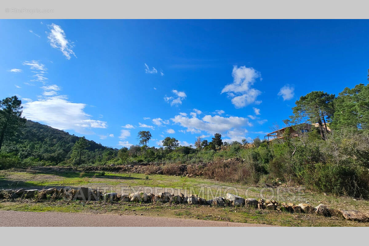 Terrain à SARI-SOLENZARA
