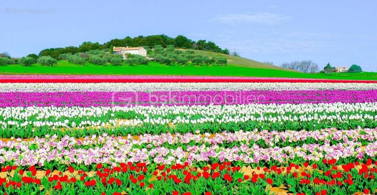 Terrain à LA BRILLANNE