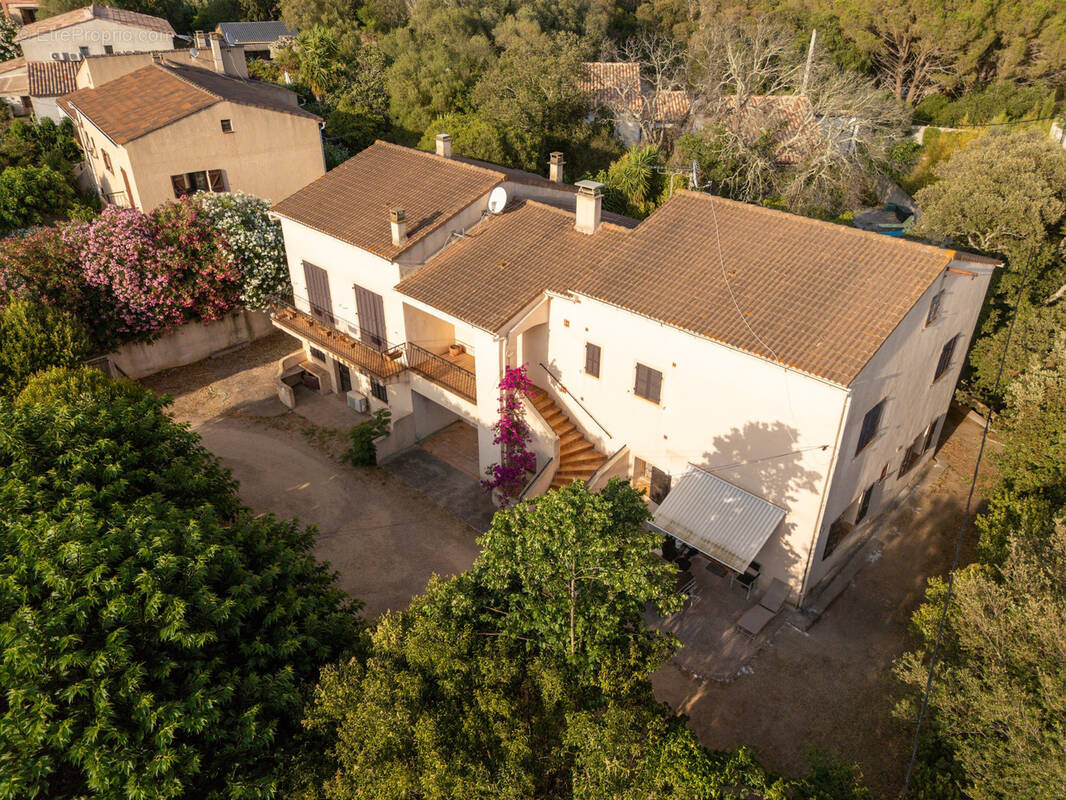 Maison à PORTO-VECCHIO