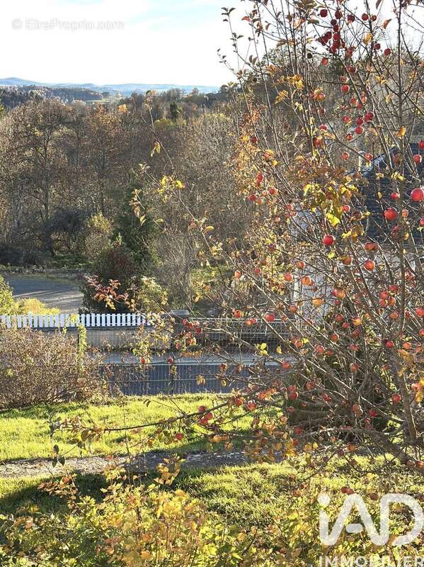 Photo 6 - Maison à NEUVEGLISE