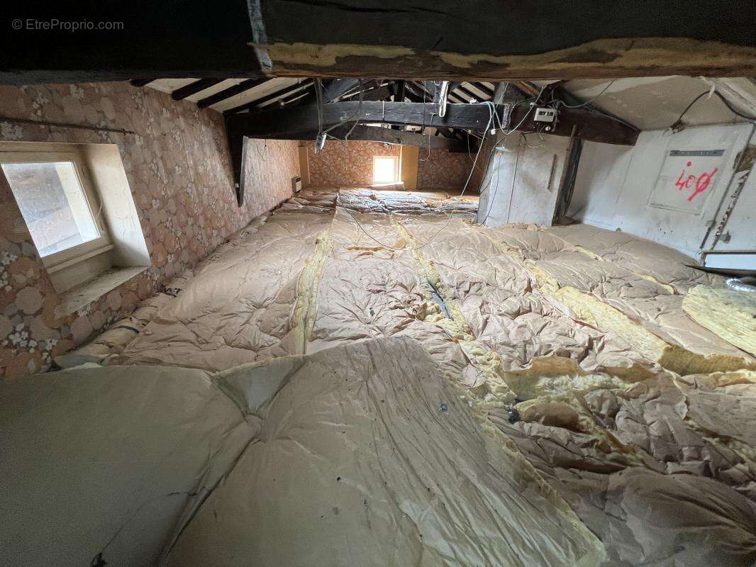 Appartement à SAINT-GEORGES-DE-RENEINS