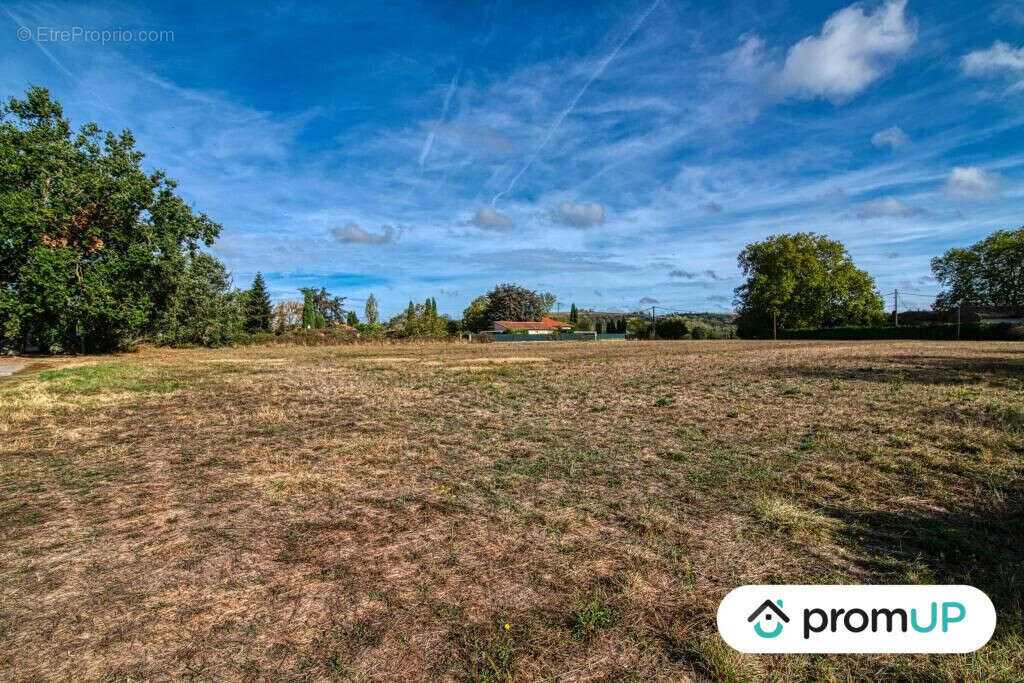 Terrain à CINTEGABELLE