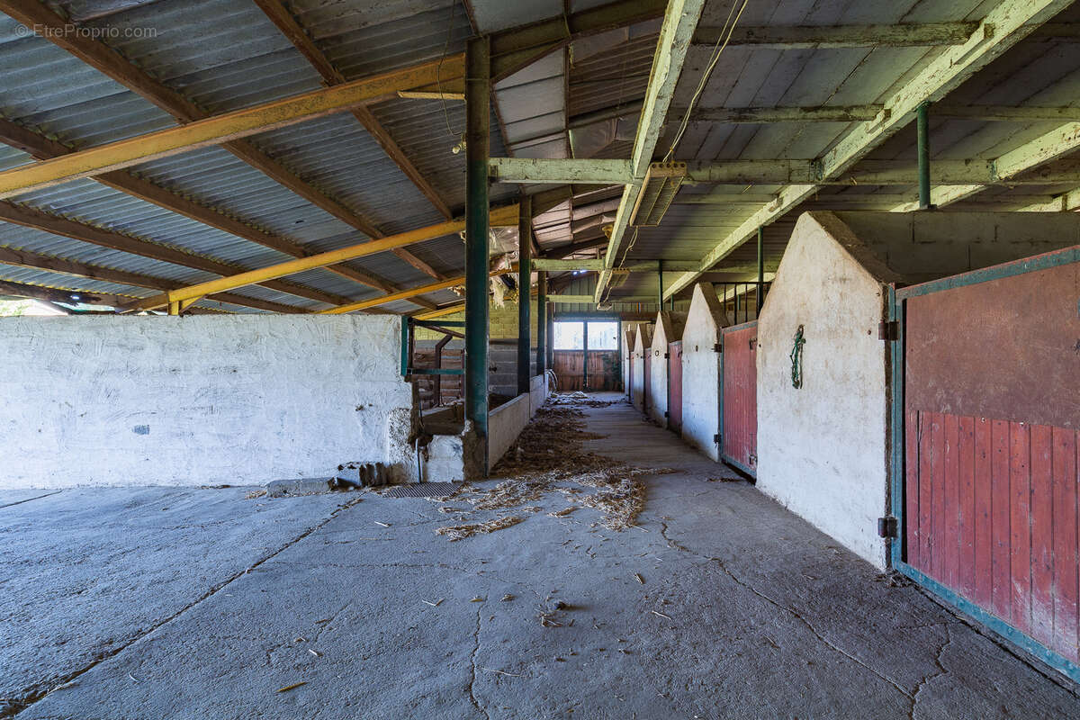 Appartement à MONTVENDRE