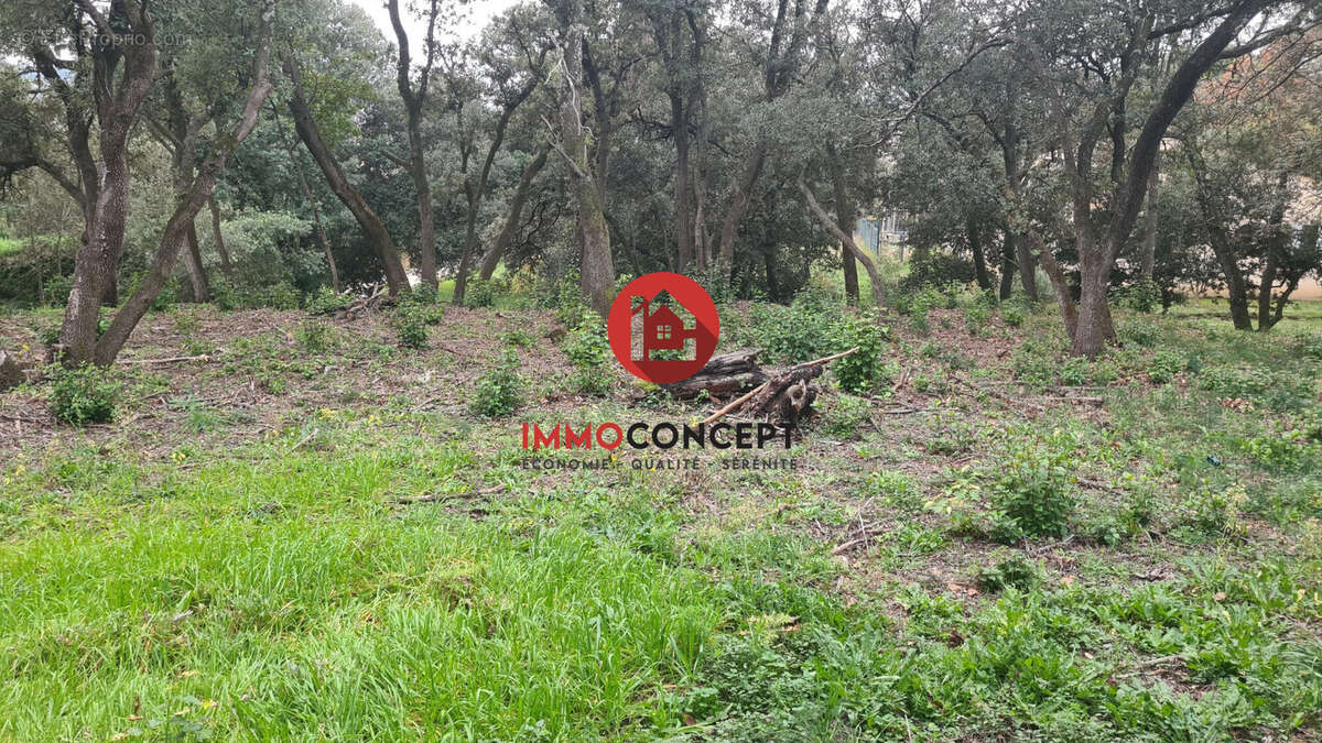 Terrain à MONTFAUCON