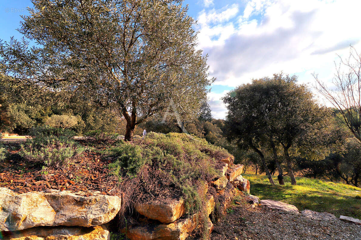 Maison à SAINT-JULIEN