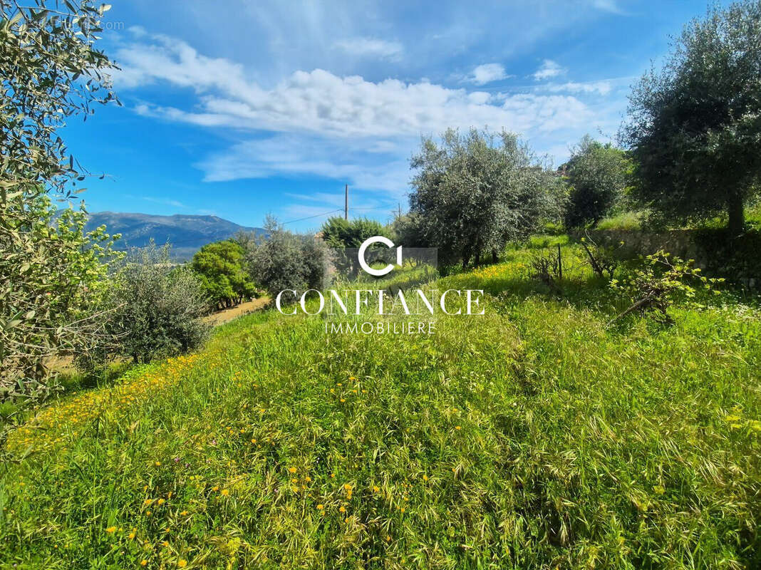 Terrain 1715 m² à Chateauneuf-Villevieille  - photo 6