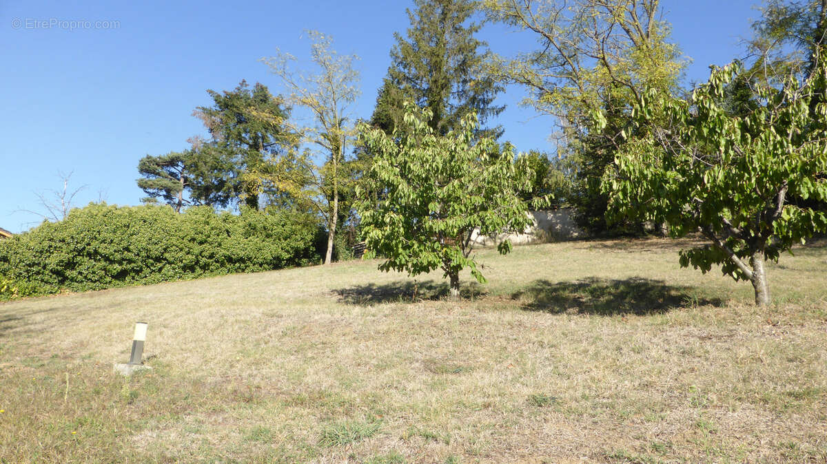 Terrain à THURINS