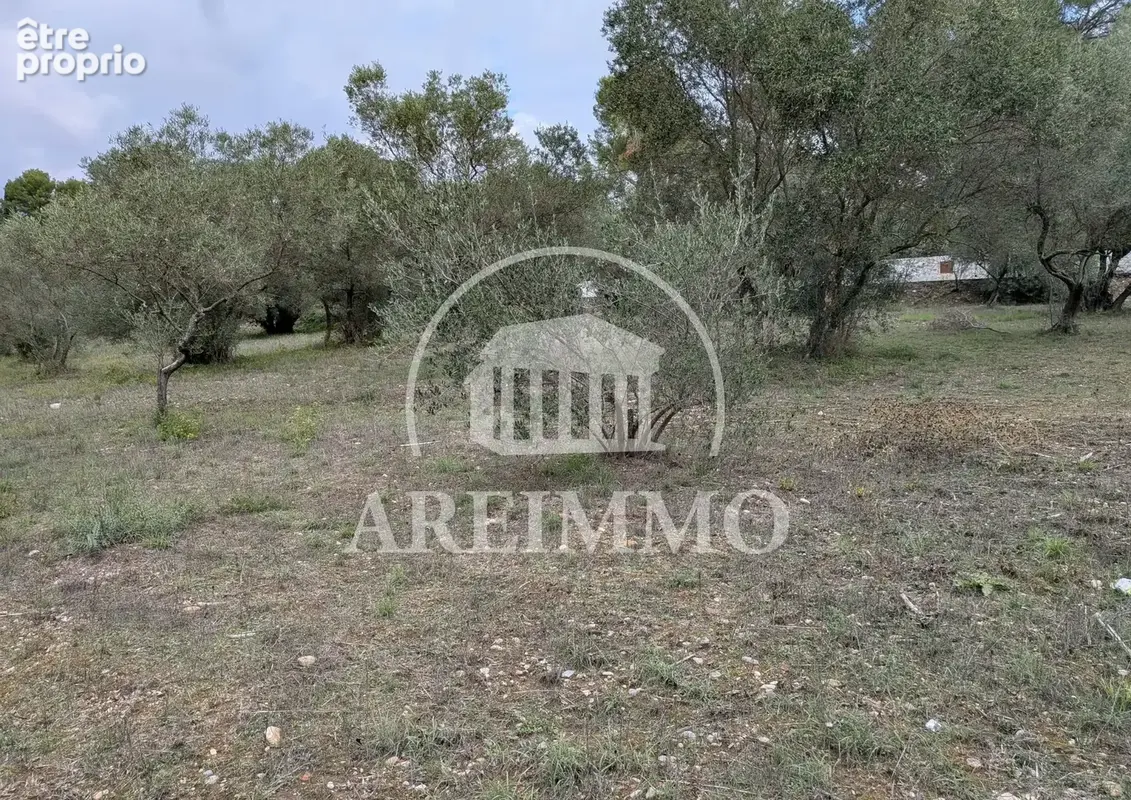 Terrain 1 102 m² à vendre à Montferrier-Sur-Lez (34980) - photo 2