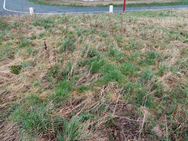 Terrain à OURVILLE-EN-CAUX