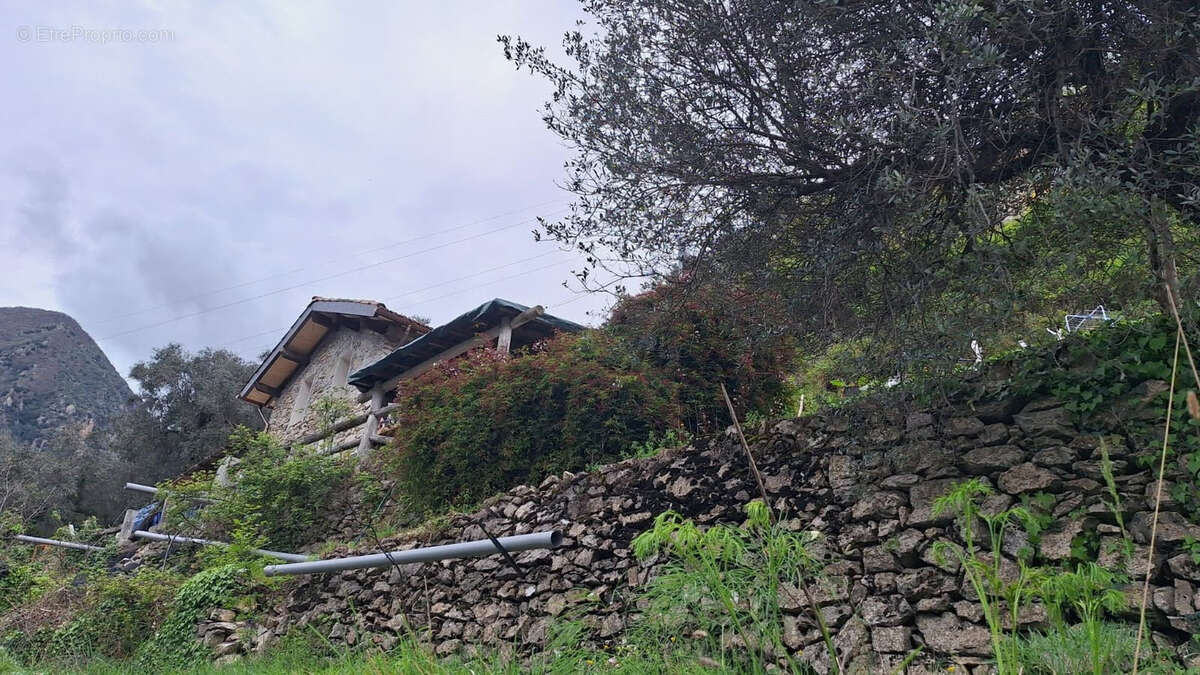 Maison à BREIL-SUR-ROYA