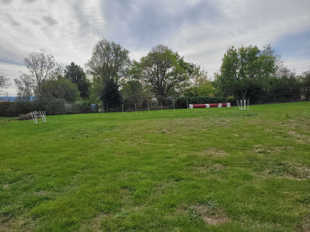 Terrain à VIVIERS-LES-MONTAGNES