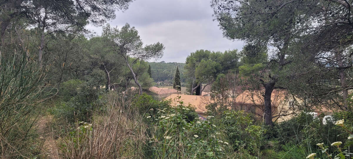 Terrain à CAVEIRAC