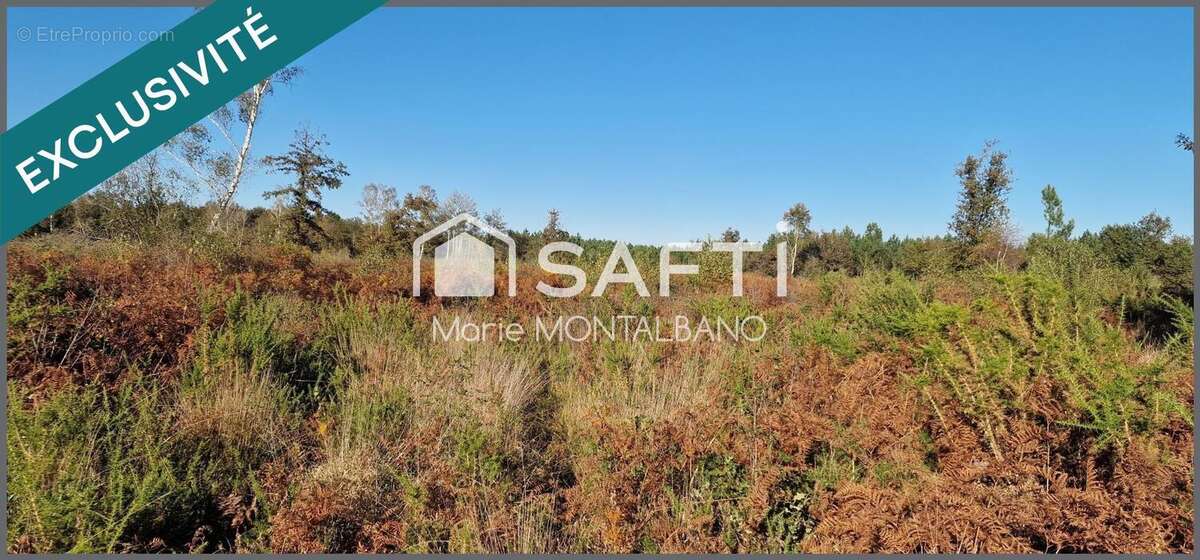 Photo 5 - Terrain à BIGANOS