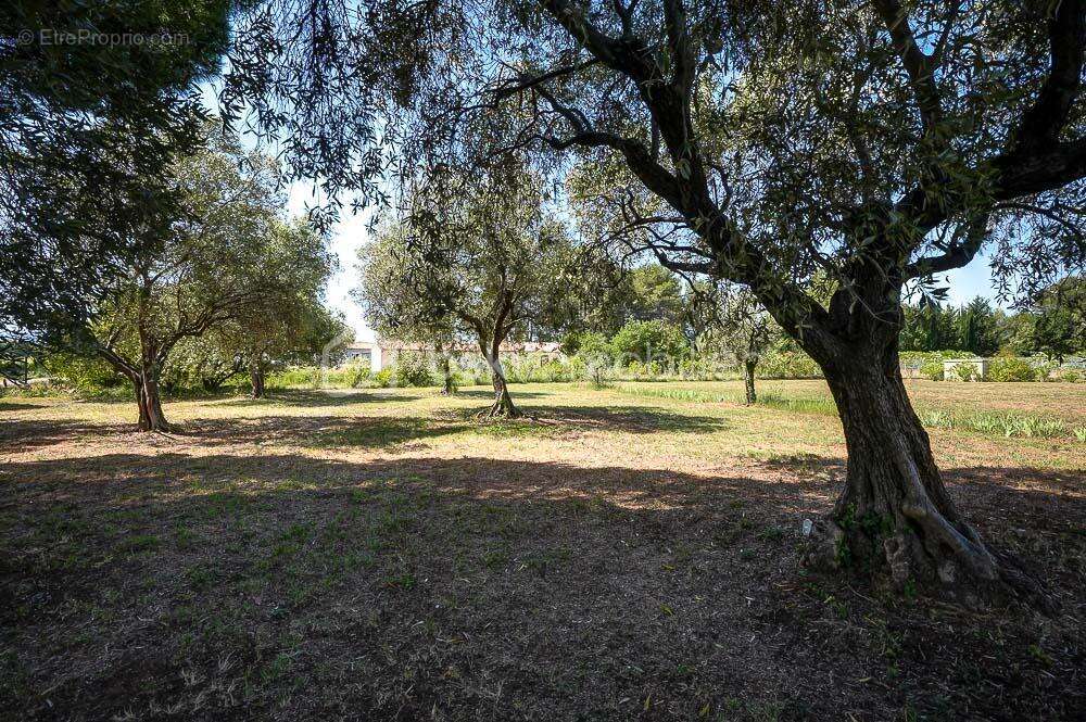 Jolie Bastide Provençale - photo 14