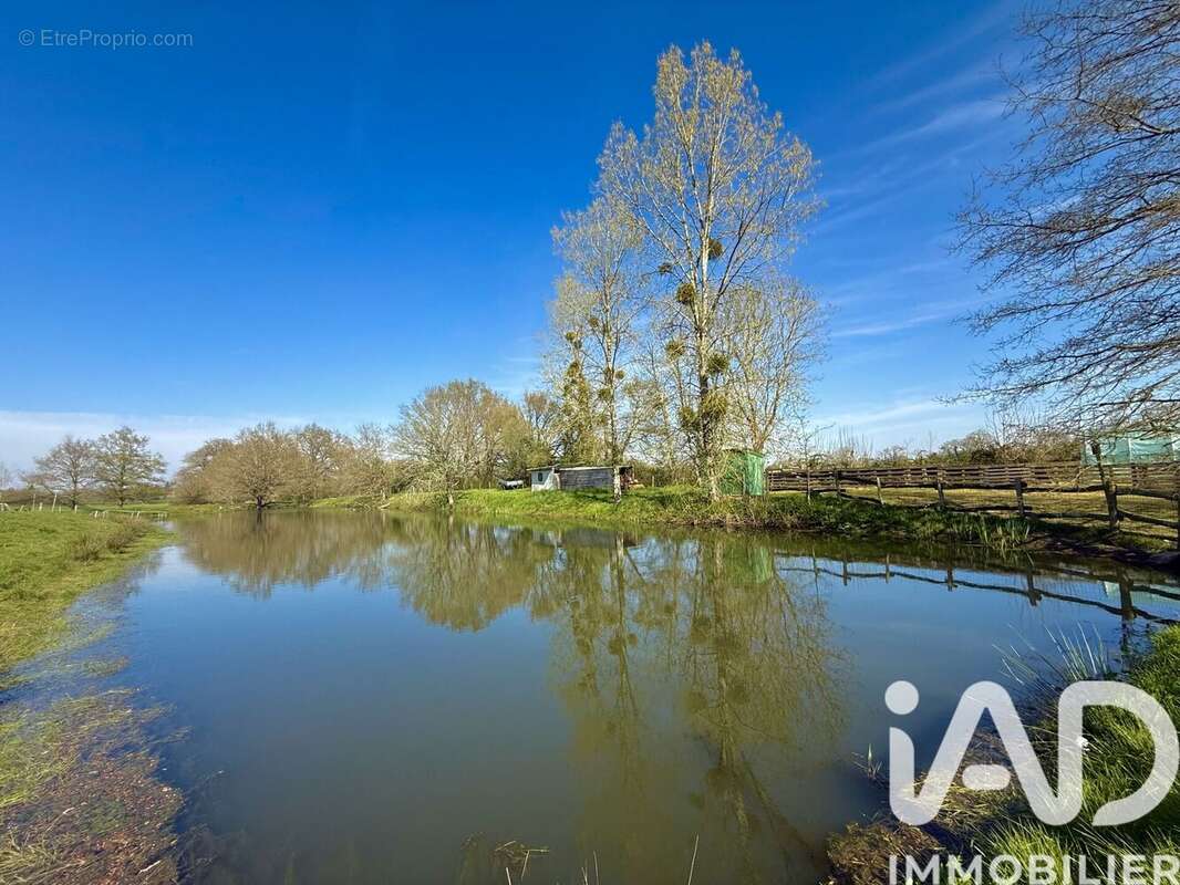 Photo 9 - Terrain à LEGE