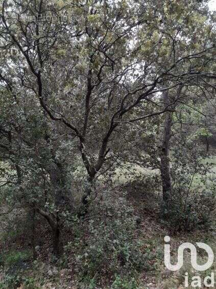 Photo 3 - Terrain à SAINT-RESTITUT