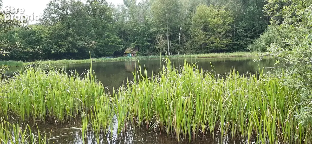 Etang vidangeable 1 ha avec abri pêche - photo 6