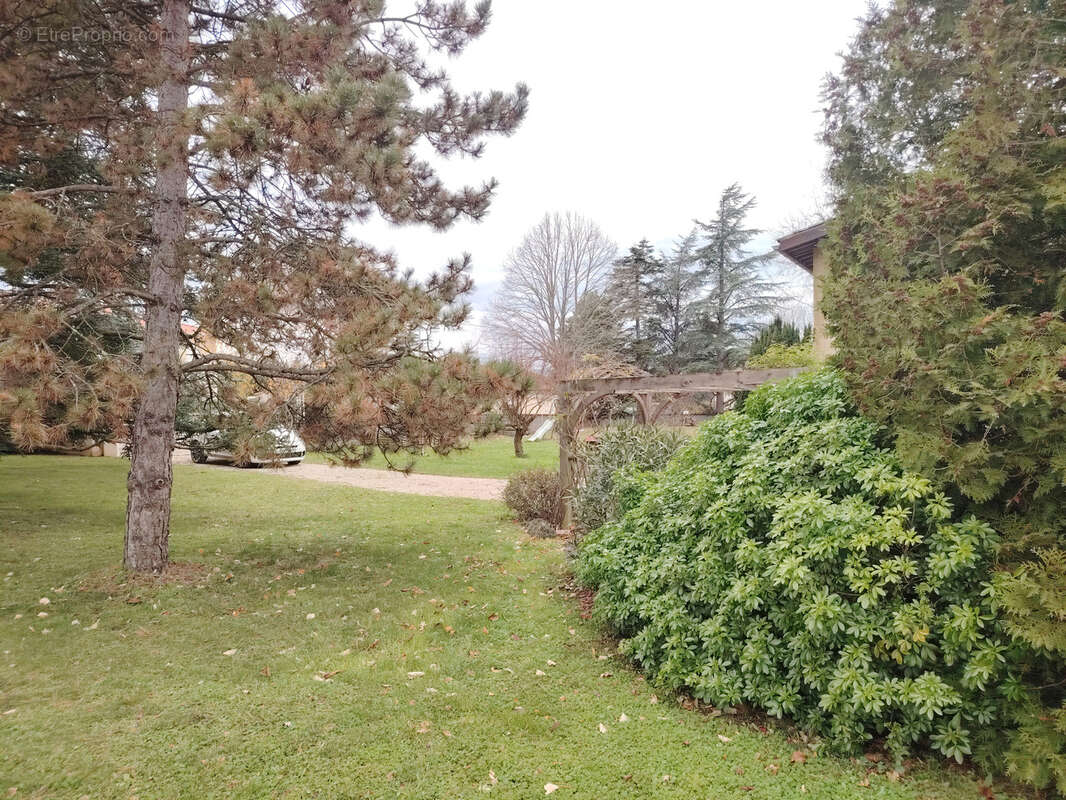 Maison à CHEYSSIEU