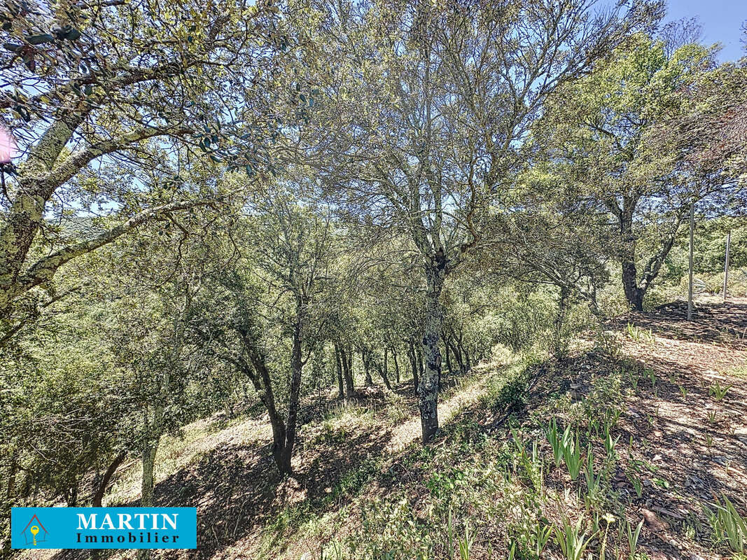 Maison à CALMEILLES