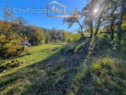 Terrain à VALLON-PONT-D&#039;ARC