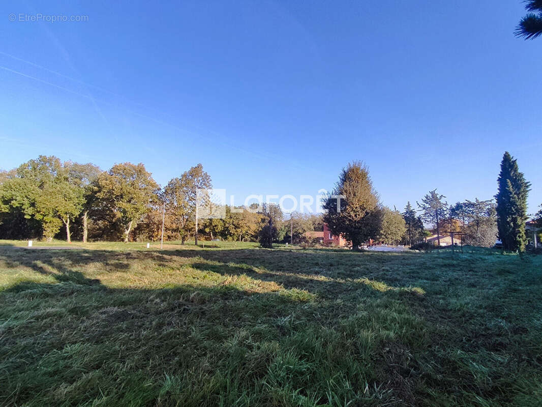 Terrain à PUYDANIEL