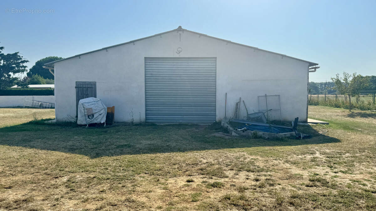 PROPRIÉTÉ SUR TERRAIN 4400m2 piscine Hangar aux portes de Montpellier - photo 7