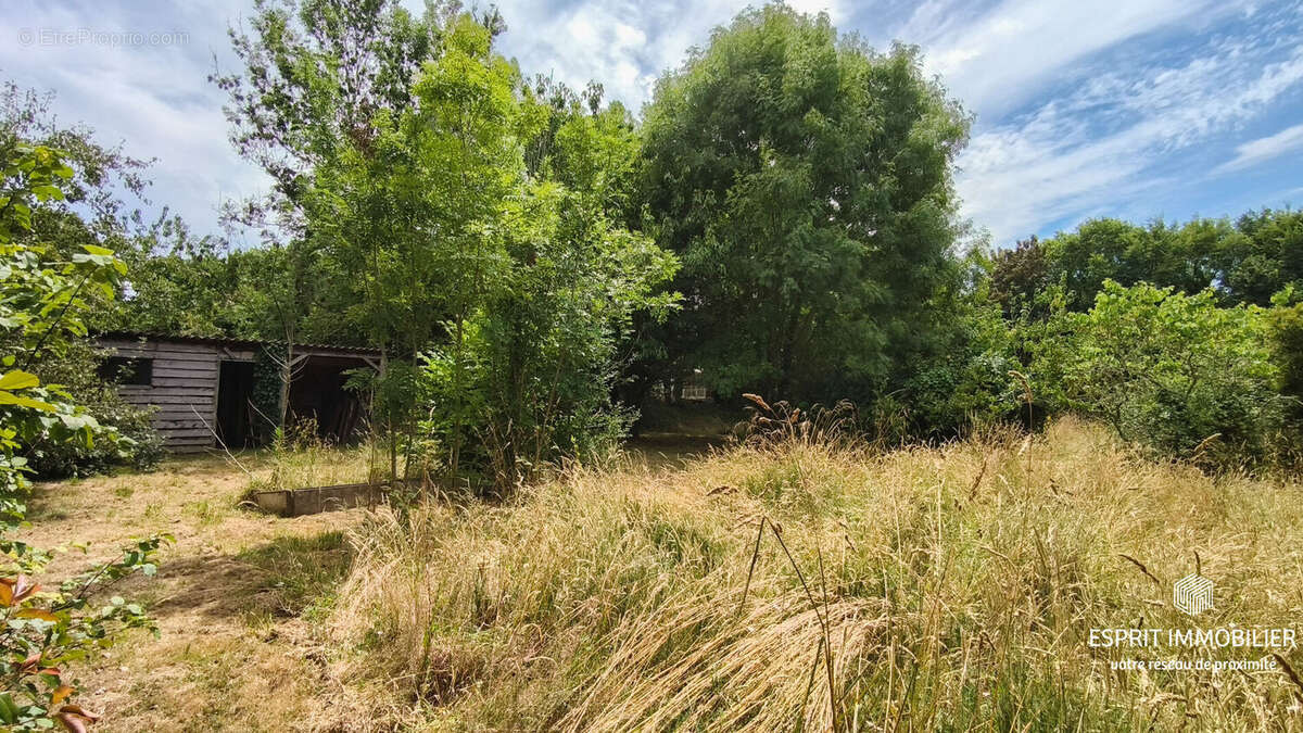 Trégunc - maison des années 70 + extension de 2011, proche plage, au calme, implantée sur 4500m² de jardin - photo 18
