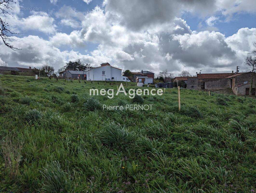 Terrain à PAULINET