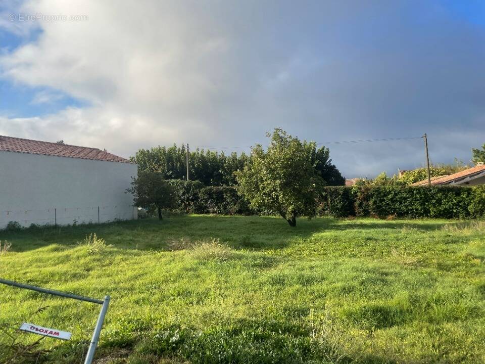 Terrain à MALLEMORT