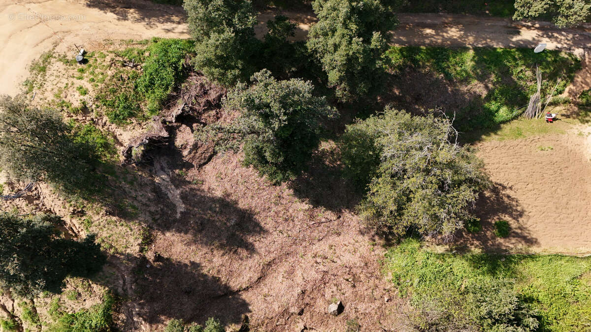 Terrain à CASAGLIONE