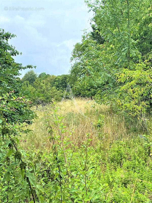 Terrain à MASSOULES