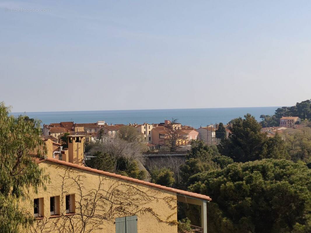 Appartement à COLLIOURE