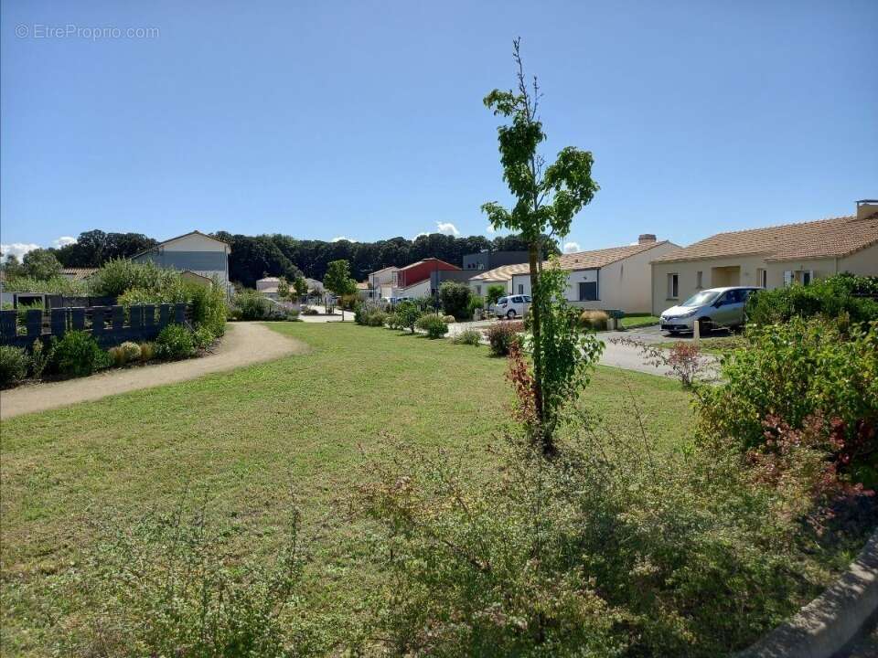 Terrain à MACHECOUL