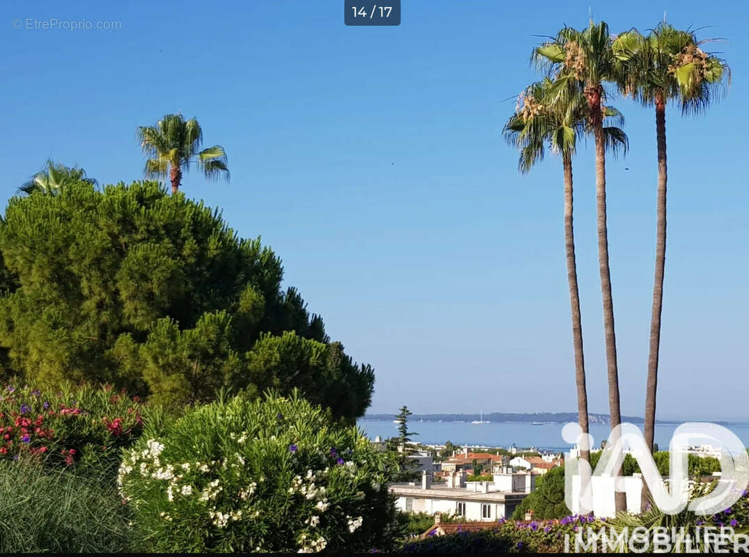 Appartement 86 m² à Antibes  - photo 2