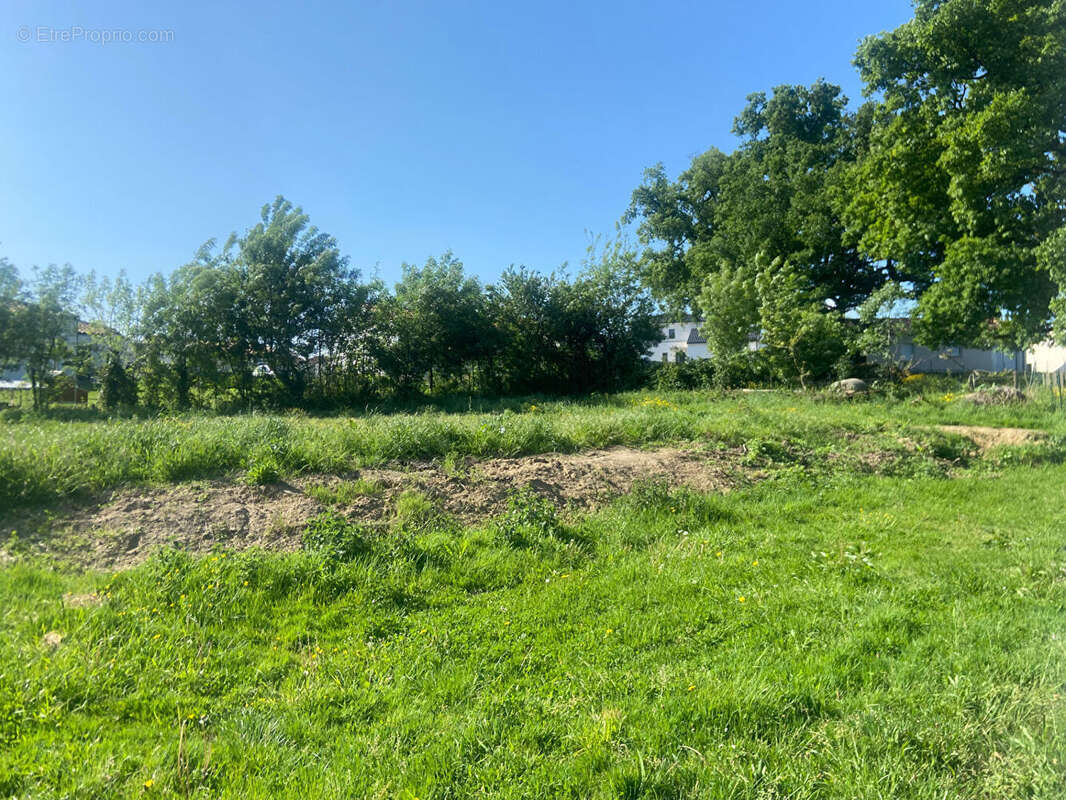 Terrain à LA ROMAGNE