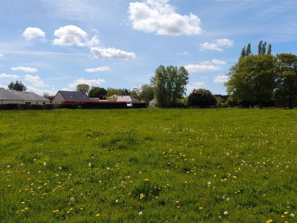 Terrain à MANDEVILLE