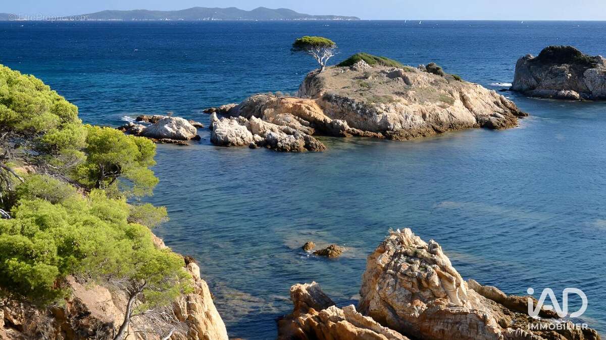 Photo 7 - Appartement à BORMES-LES-MIMOSAS