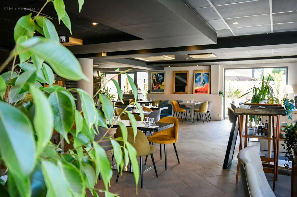 Commerce à MANDELIEU-LA-NAPOULE