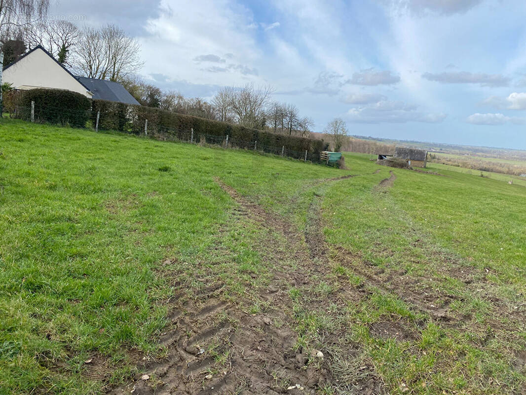 Terrain à SAINT-GEORGES-D&#039;AUNAY