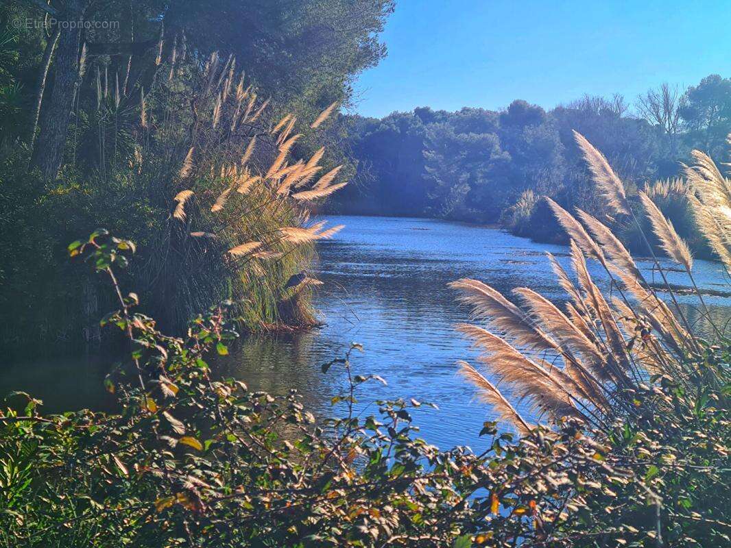 Appartement à SIX-FOURS-LES-PLAGES