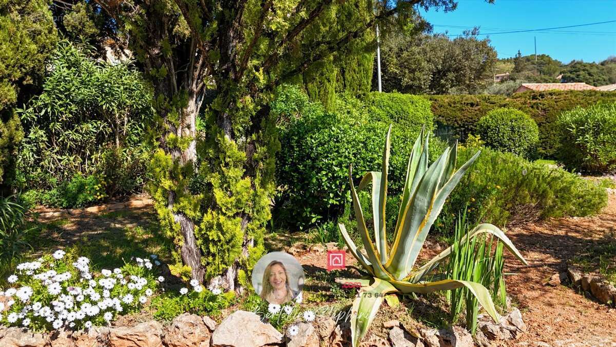 Maison à TRANS-EN-PROVENCE
