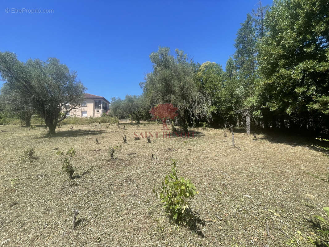 Terrain à LODEVE