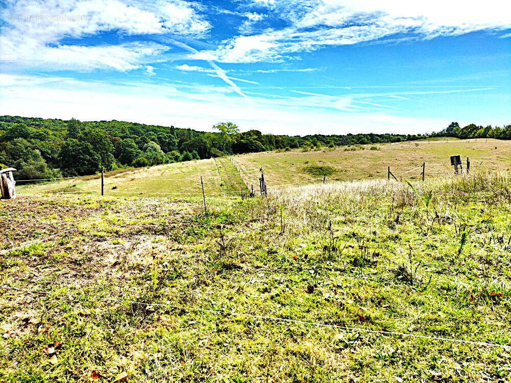 Terrain à MARGOUET-MEYMES