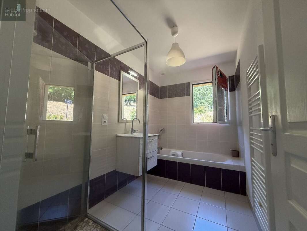 Maison T5 Rieupeyroux 3000m2 de terrain - photo 6