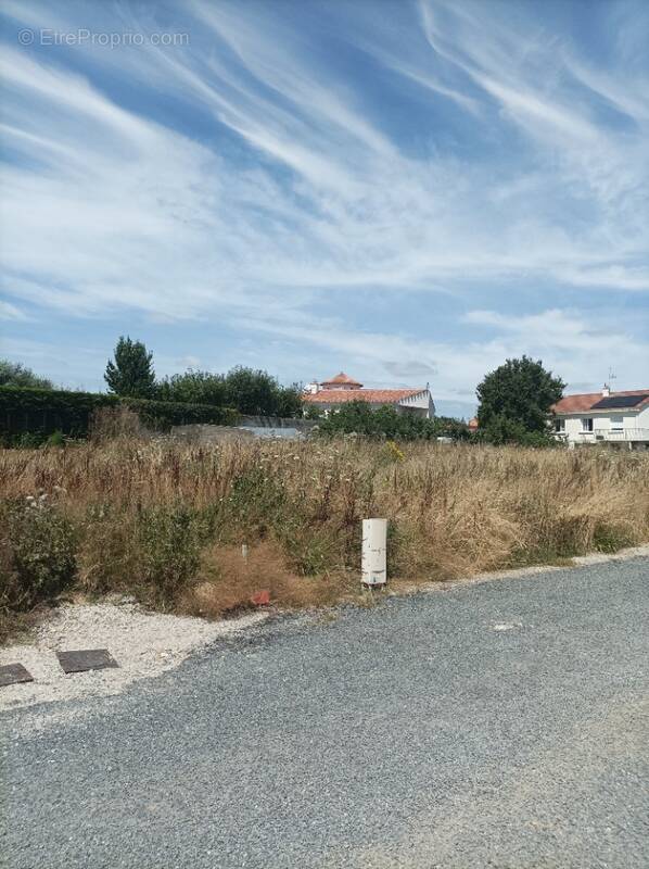 Terrain à SAINT-HILAIRE-DES-LOGES