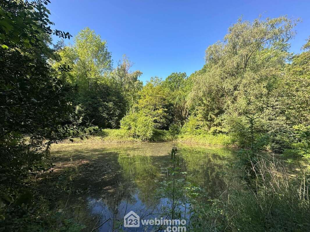 Magnifique étang de loisirs - Terrain à PARFONDRU