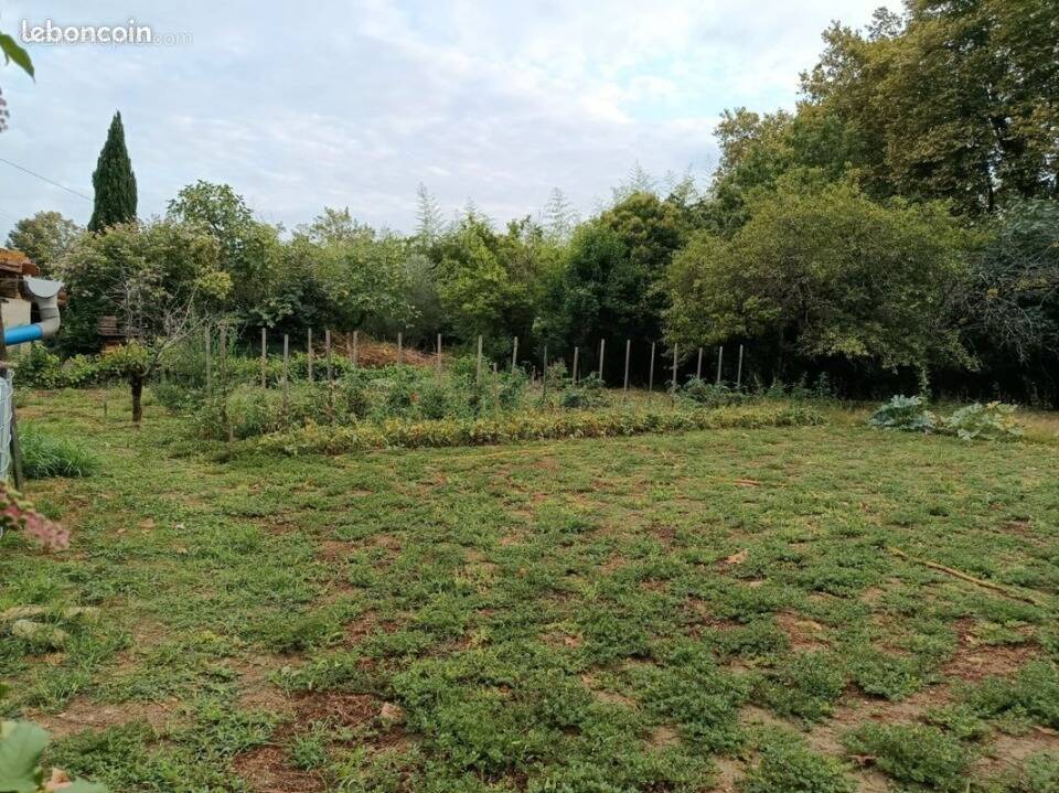 Terrain à SAINT-MICHEL-DE-LANES