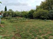 Terrain à SAINT-MICHEL-DE-LANES