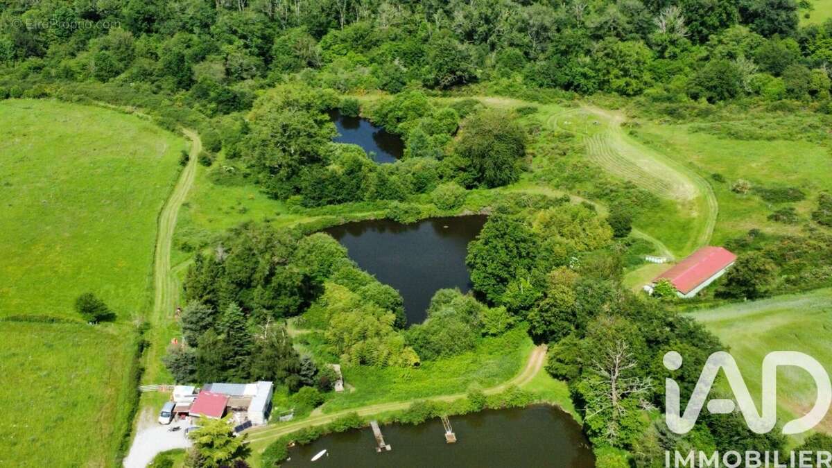 Photo 2 - Terrain à NERIS-LES-BAINS